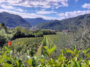 Agriturismo Tenuta La Fratta Bagni Di Lucca